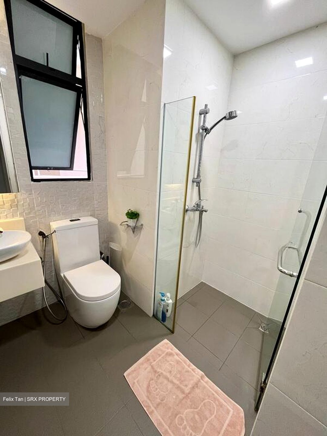 Valley Park (D10), Condominium #525511391